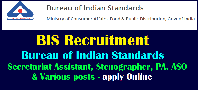 BIS Senior Secretariat Assistant Recruitment 